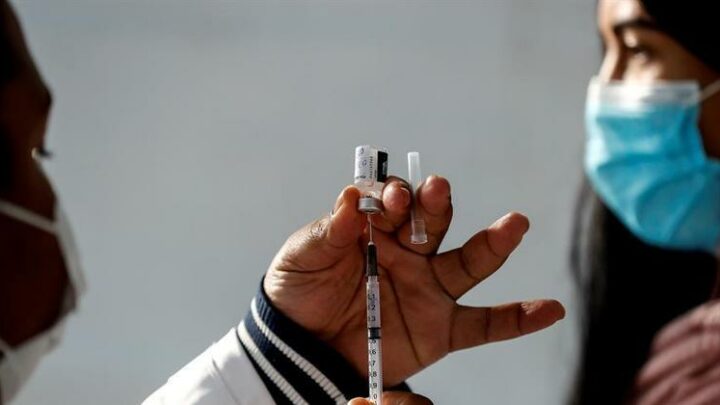 Cinco vacinas brigam para ser o 1º imunizante nacional contra covid – Notícias