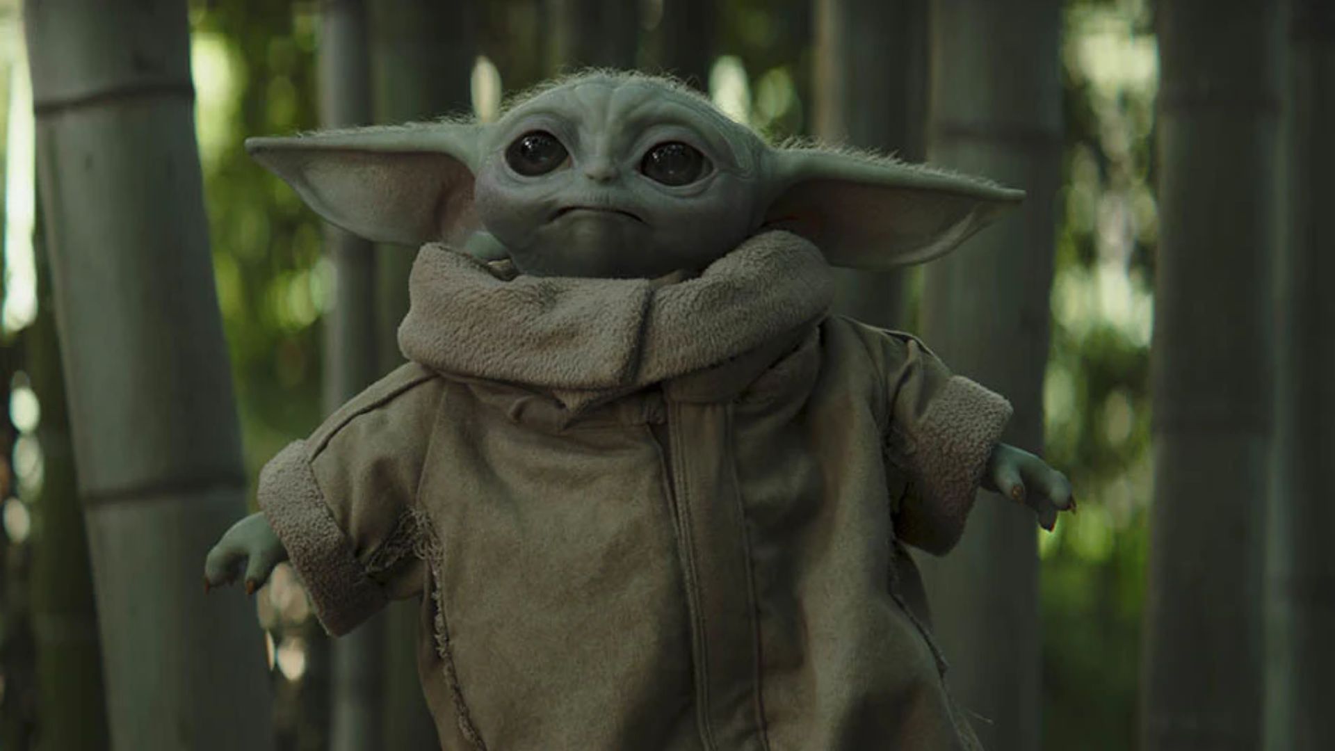 Grogu nem mesmo é parente do Mestre Yoda, mas as similaridades entre os dois já ajudaram na fama do 