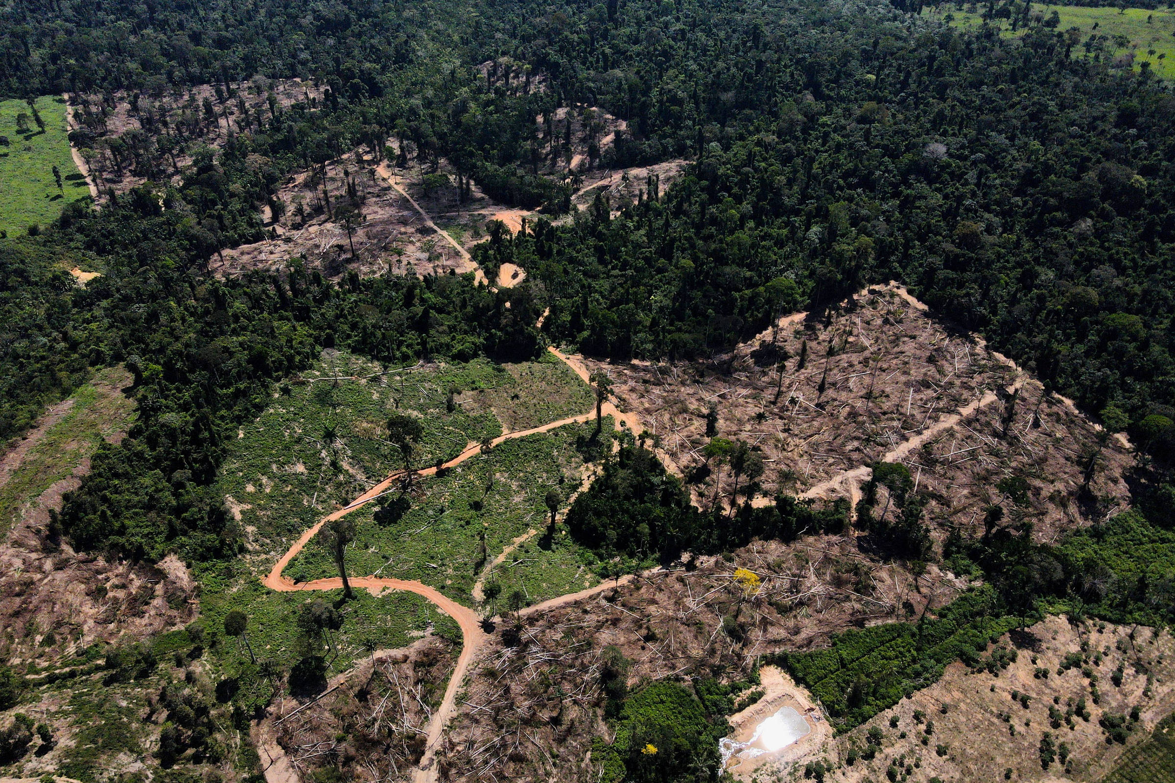 Brasil vai levar à COP28 proposta de fundo para florestas – 24/11/2023 – Ambiente