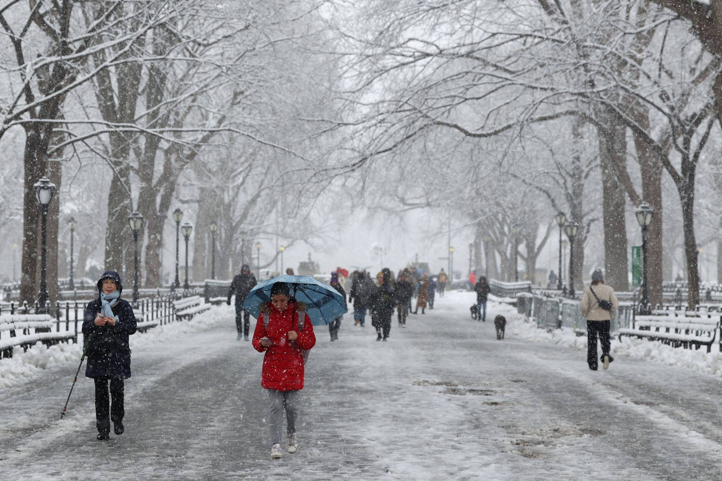 Nova York: Nevasca mais intensa em 2 anos atrasa voos – 13/02/2024 – Mundo