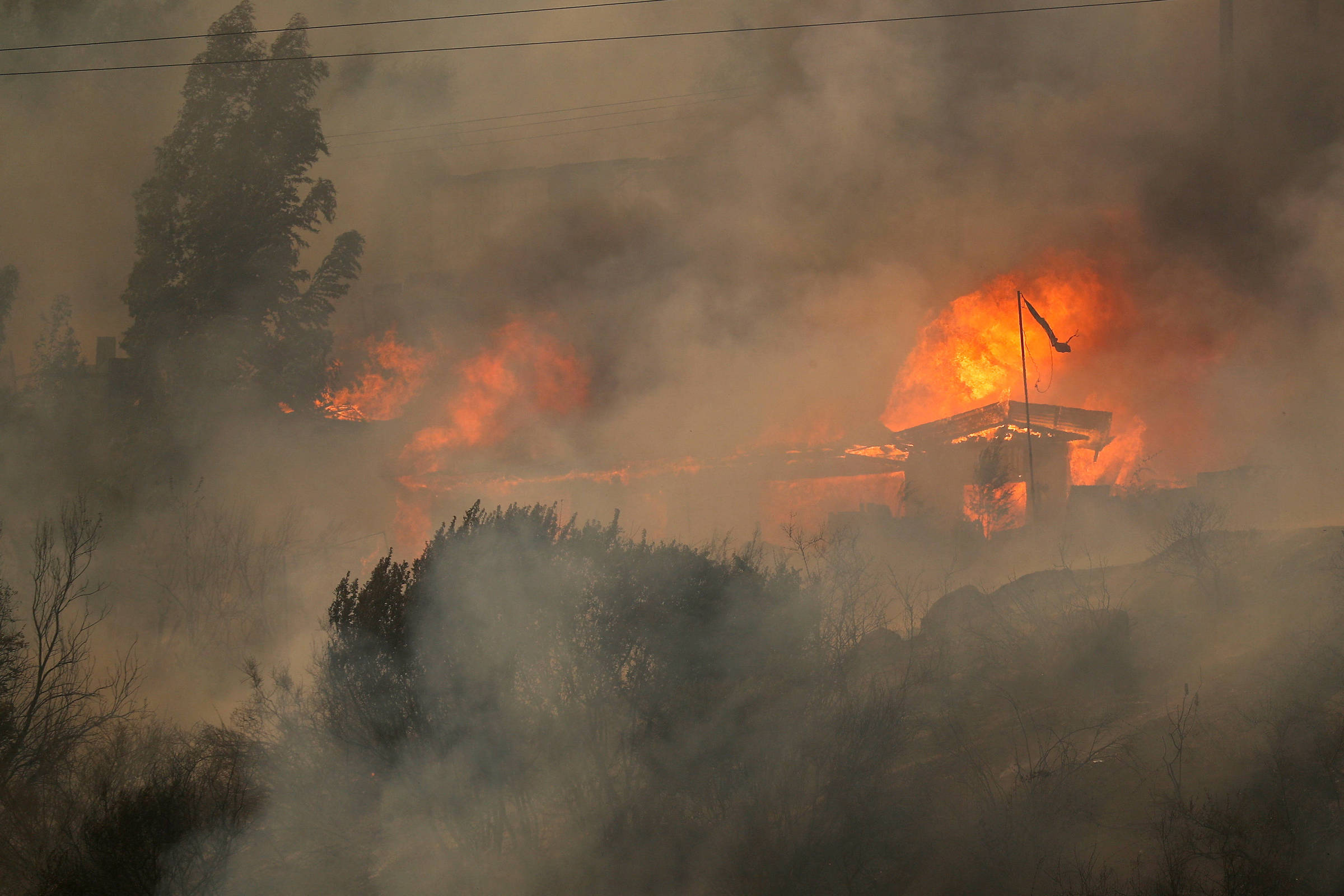 Sobe para 51 número de mortos por incêndios florestais no Chile – 04/02/2024 – Mundo