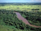 Enquanto RS enfrenta enchente histórica, agência reconhece seca crítica em bacia do Pantanal