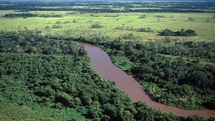 Enquanto RS enfrenta enchente histórica, agência reconhece seca crítica em bacia do Pantanal